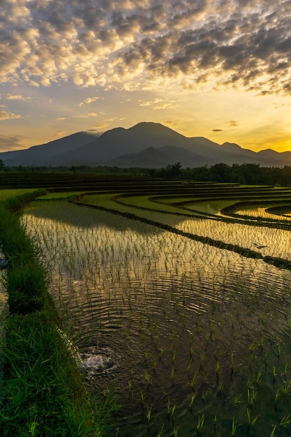 Morning view of mountains and rice terraces with clear water in a cool and beautiful village