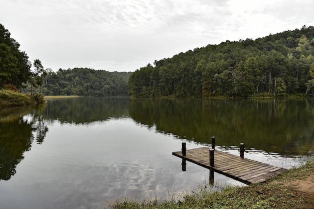 Photo morning view in pang oung district animal area