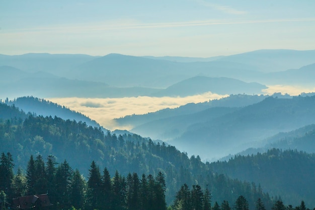 Photo morning view of the peaks of beskid sadecki in poland from the tourist trail near obidza