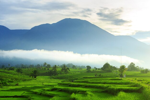 Morning view with leafy mountains in Bengkulu when the morning is beautiful