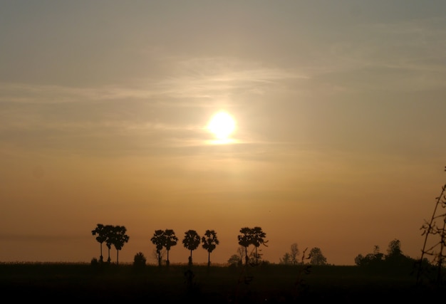 Vista del mattino