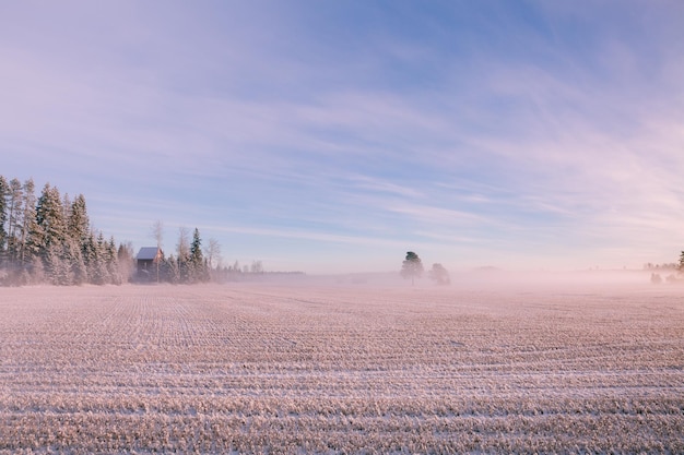 Morning winter landscape Snow trees and frosty fog on the field in rural Finland