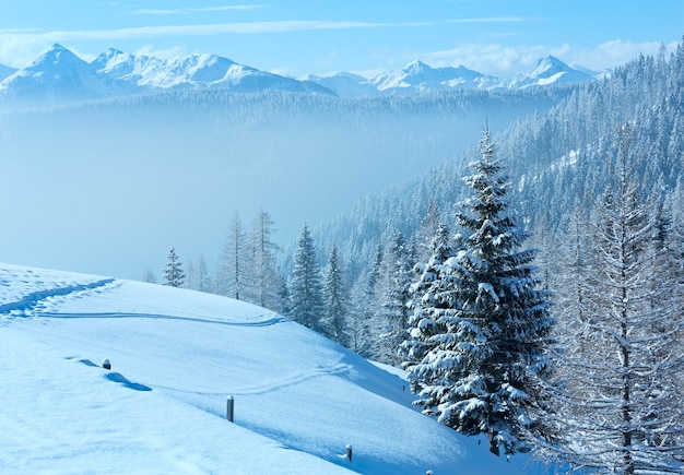 Morning winter misty mountain landscape with fir forest on slope.