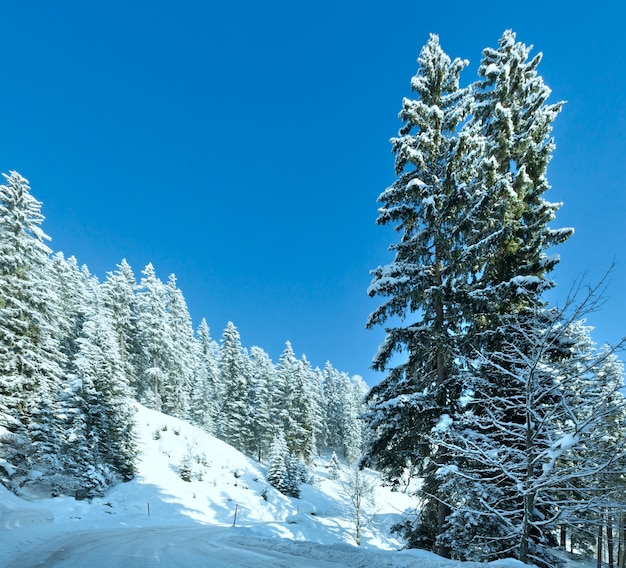 Morning winter mountain landscape with fir forest and alpine road