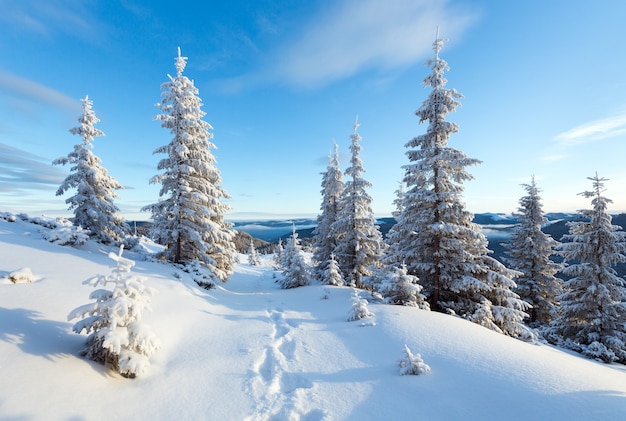 Morning winter mountain landscape with fir trees on slope and footsteps.