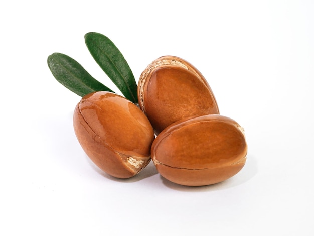 Photo moroccan argan nuts with green leaves on white isolated background argan seeds for the production of