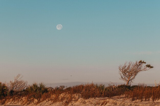 Foto faro di morris island in pastel glory