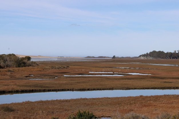 Morro Bay Californië