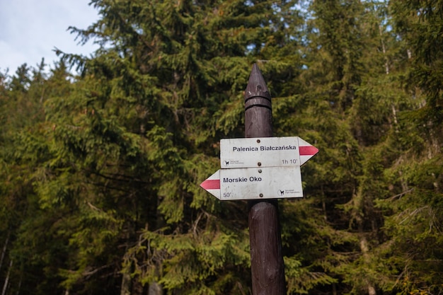 Morskie oko Polen padmarkering in de Hoge Tatra's in Polen foto van hoge kwaliteit