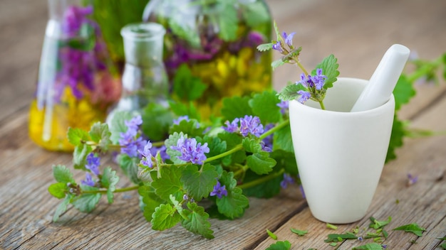 Mortar of healing herbs and bottles of healthy tincture or infusion on background Herbal medicine concept