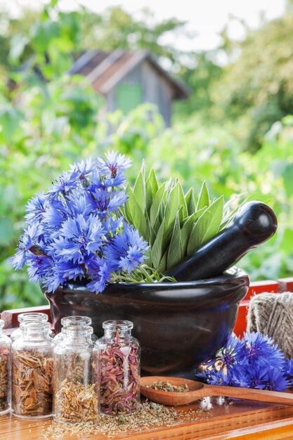 Mortar with blue cornflowers and sage on windowsil