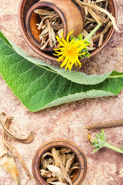 Mortar with inula roots