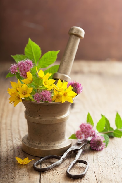 Foto mortel met bloemen en kruiden