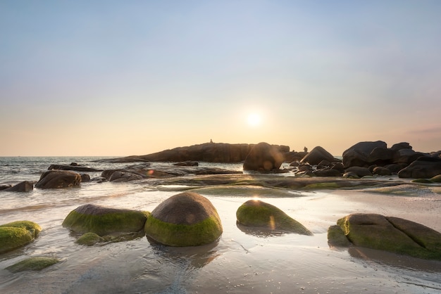 Mos op rots op het strand met zonsondergang