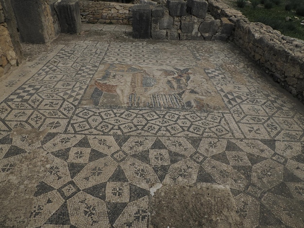 Mosaic in Volubilis Roman ruins in Morocco- Best-preserved Roman ruins located between the Imperial Cities of Fez and Meknes