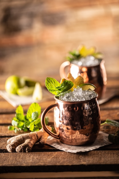 Moscow Mule highball cocktail and a long vodka drink with fresh lime, ginger beer, and mint.