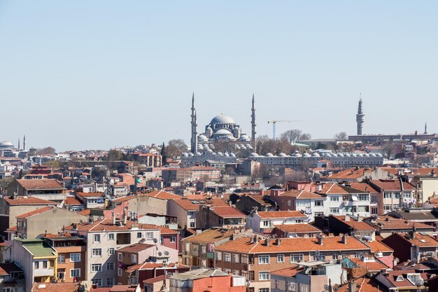 Moskee in Ottomaanse stijl in Istanbul