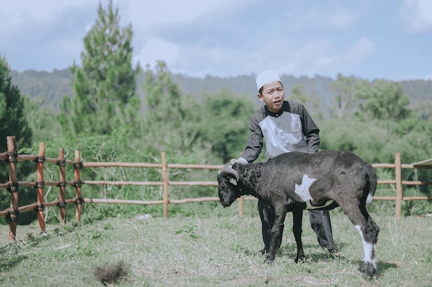 A Moslem boy and a goat are playing