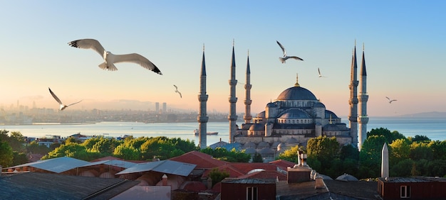 Photo mosque and bosphorus in istanbul