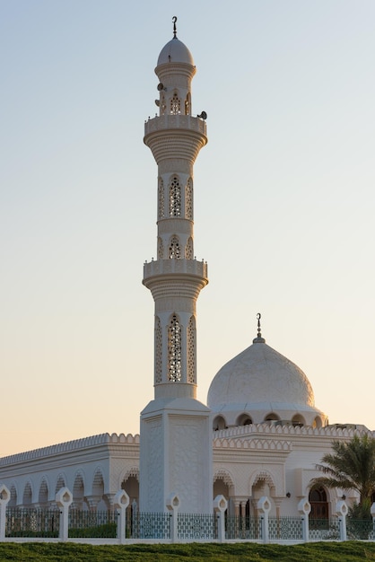 Фото Мечеть в оазисе лива абу-даби оаэ
