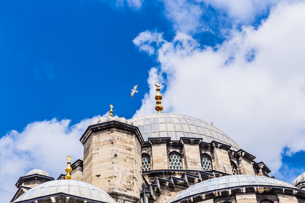 Mosque in Istanbul