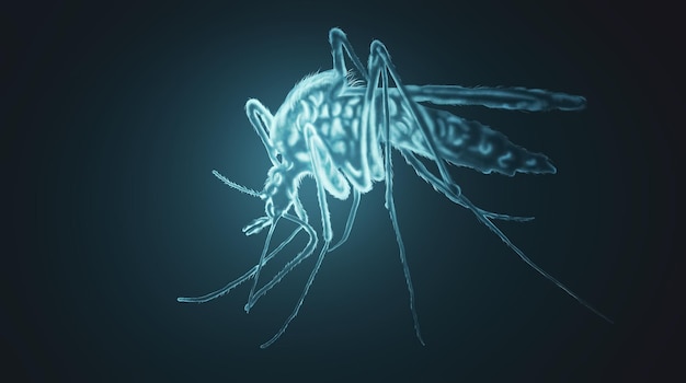 Illustrazione 3d del morso della malaria della zanzara