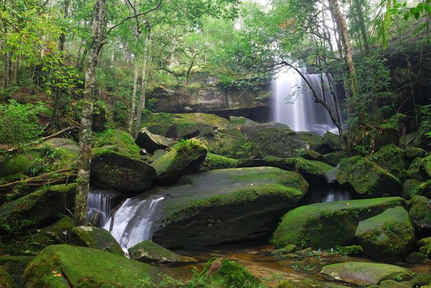 Moss covered rocks at waterfall