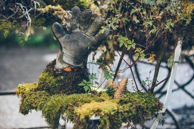 Moss grass decoration at backyard