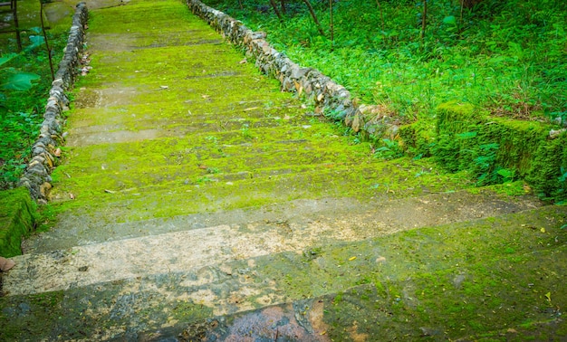 Moss perched along the corridor