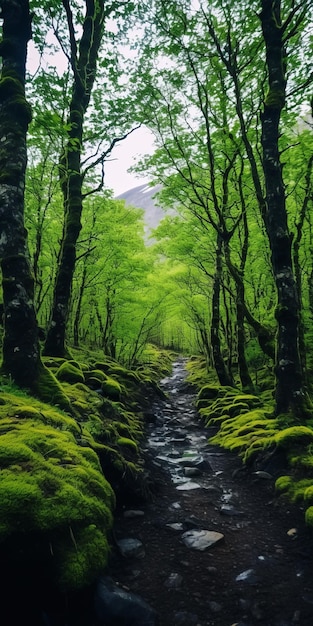 Mossy Green Forest Stream Een prachtig 8k Schotse landschap