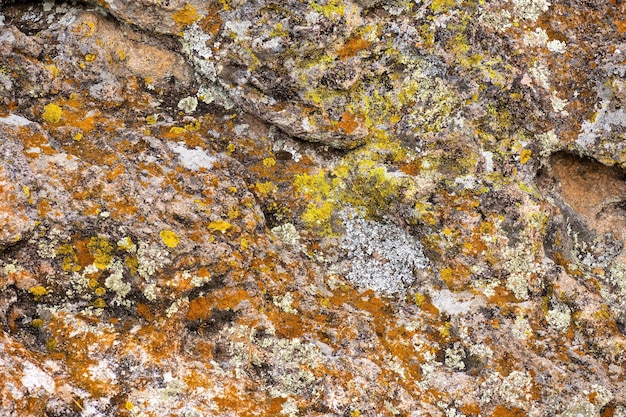 Mossy red rock texture background