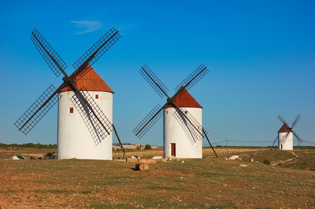 Mota del Cuervo windmills in Cuenca