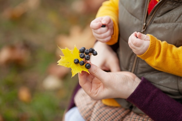 Mother and child holding a branch with aronia berries in hands