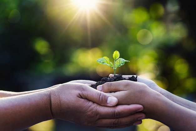 Mother and child holding young plant with sunlight on green nature. concept eco earth day