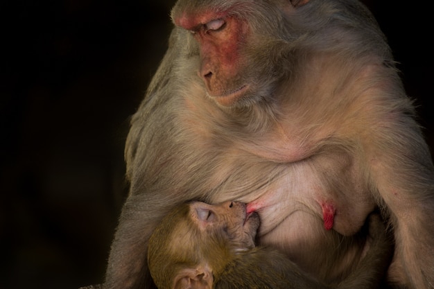 Photo mother and child