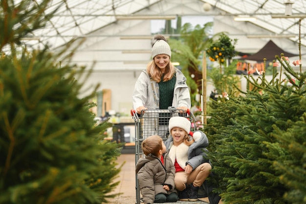 Mother and children choose a christmas tree in the market