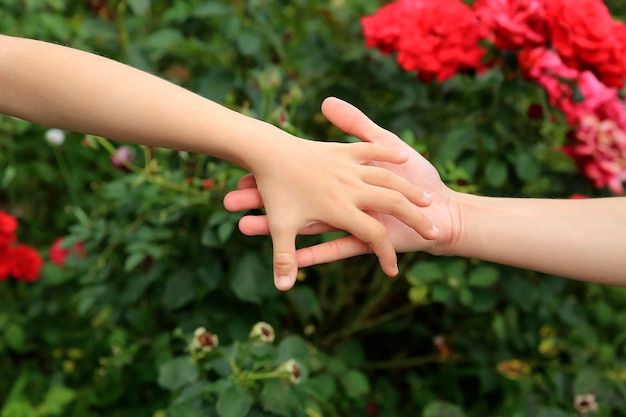 Mother and daughter hands together