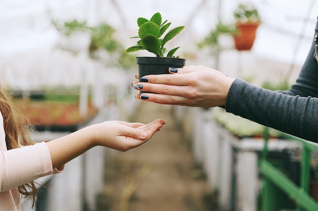 植物を保持している母と娘