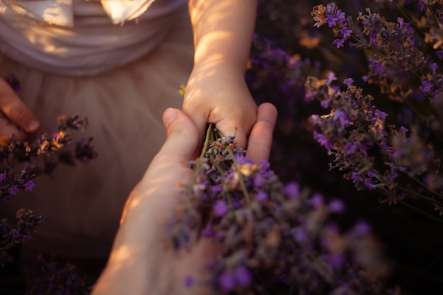 Madre e figlia in un campo di lavanda