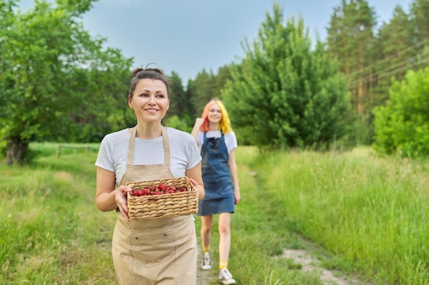 Madre e figlia adolescente in grembiuli che camminano insieme al cesto di fragole fresche, natura, fattoria, bellissimo paesaggio sullo sfondo. cibo biologico sano, lavoro agricolo e hobby