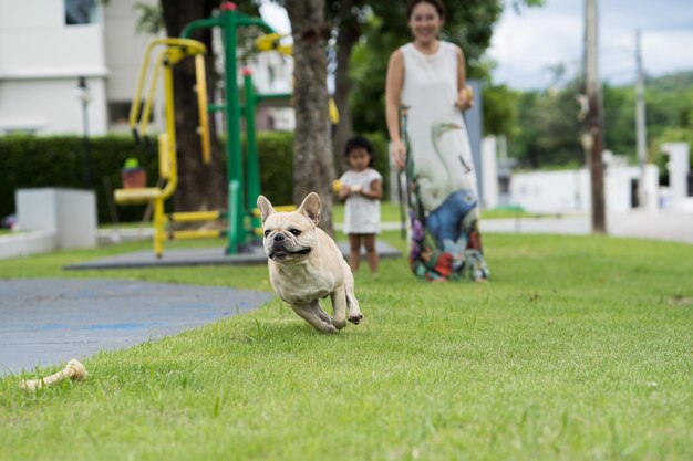 Mother and daughter with dog running at park