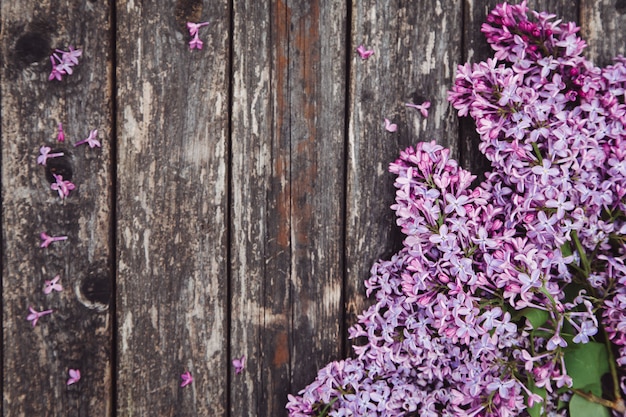 Mother day background with lilac flowers