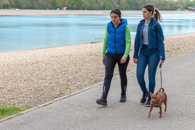 人間と動物の関係によってピンシャー犬と歩いている母親と彼女の十代の娘