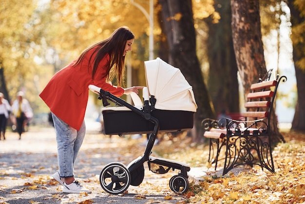 写真 赤いコートを着たお母さんは、秋の美しい木々が生い茂る公園の乳母車で子供と散歩をしています。