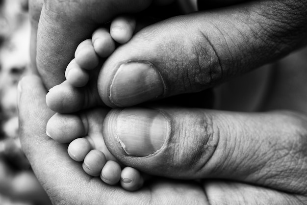 Mother is doing massage on her baby foot closeup baby feet in\
mother hands prevention of flat feet development muscle tone\
dysplasia family love care and health concepts black and white