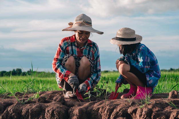 Мать и дети сажают дерево в грязи на рисовом поле и фоне голубого неба