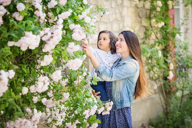 Mother and little handsome baby boy looking at bush with white roses