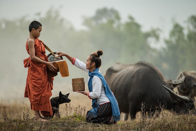 Mother offer food to a novice in the meadow.