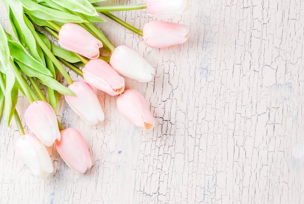 Concetto di festa della mamma, fondo della cartolina d'auguri con i tulipani dei fiori