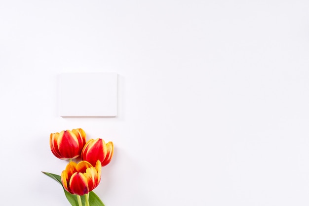 Mother's Day Design Concept, Tulip bloem bos, - mooi rood, geel boeket geïsoleerd op heldere witte achtergrond tafel, bovenaanzicht, plat lag, kopieer ruimte
